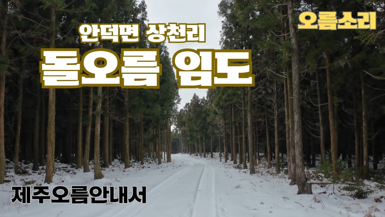 307.(2026.1.4) 서귀포시 안덕면 상천리에 위치한 돌오름 임도 또는 NB(나인브릿지)둘레길 탐방로 및 경관 소개