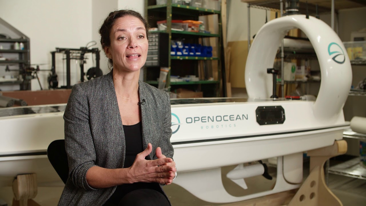 Open Ocean Robotics - Technology Overview