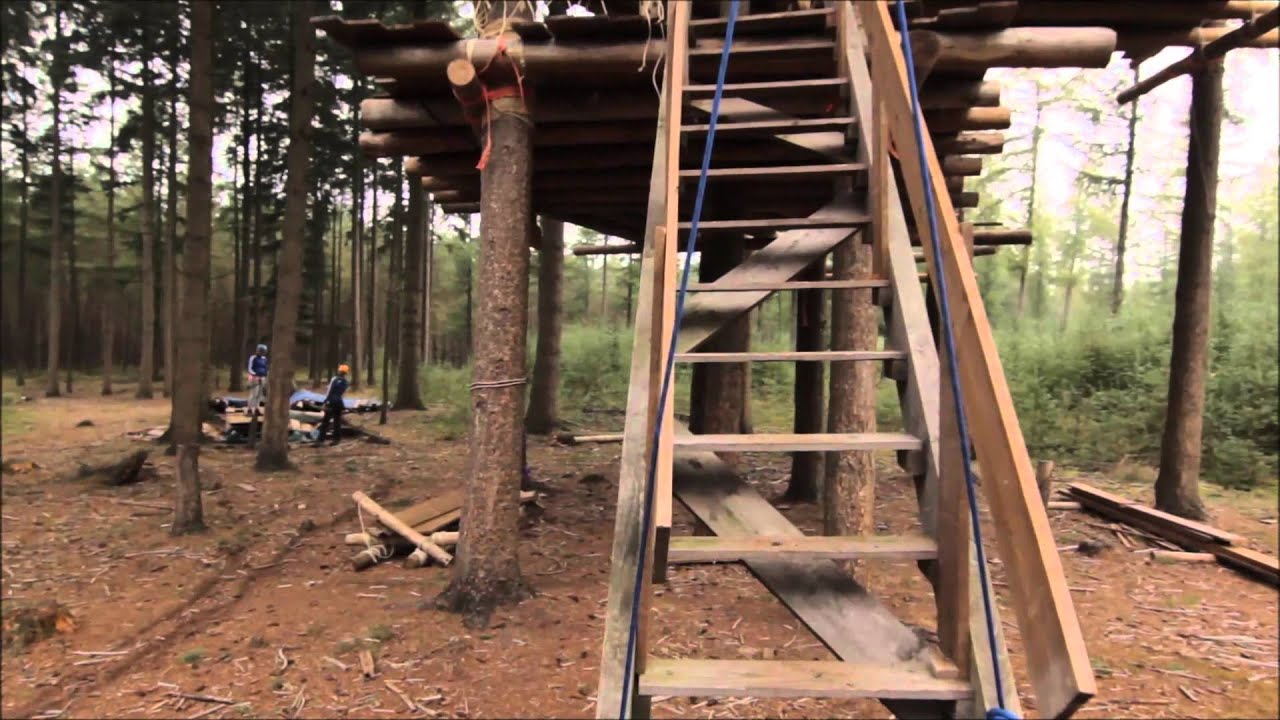 Boomhut bouwen