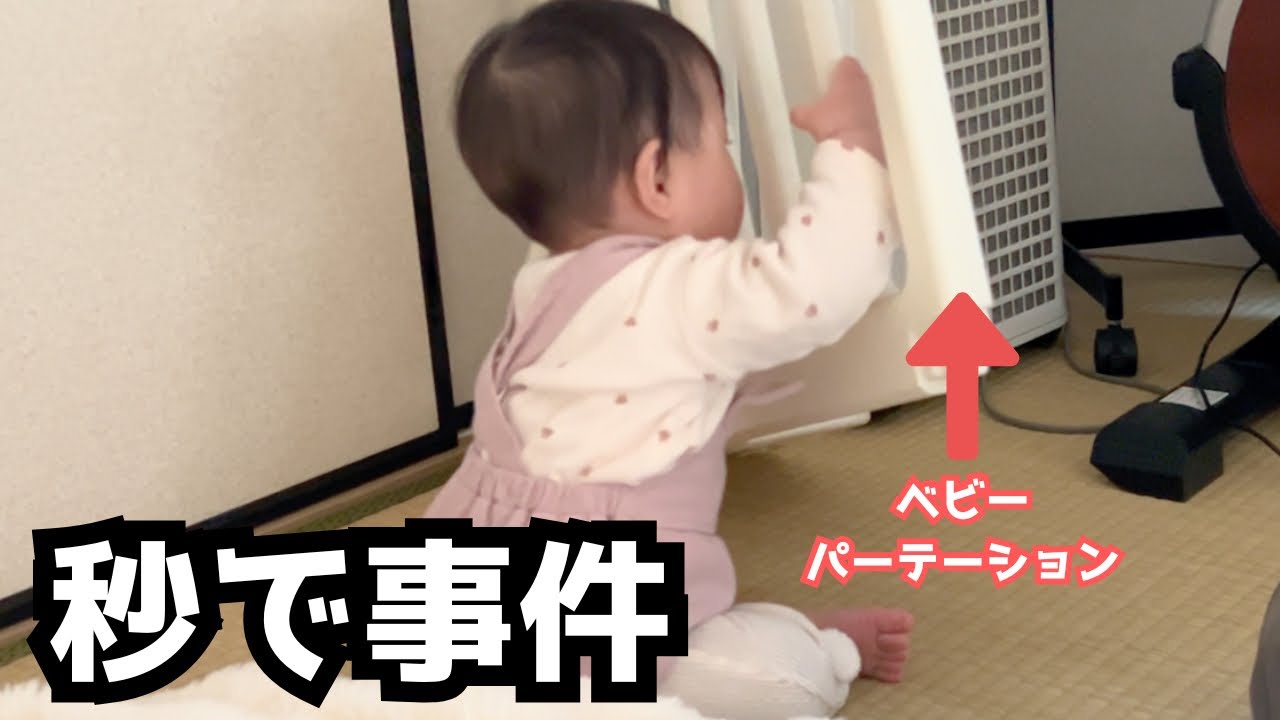 ハイハイできた結果…秒で事件が起きました【０歳ベビーいたずら集】