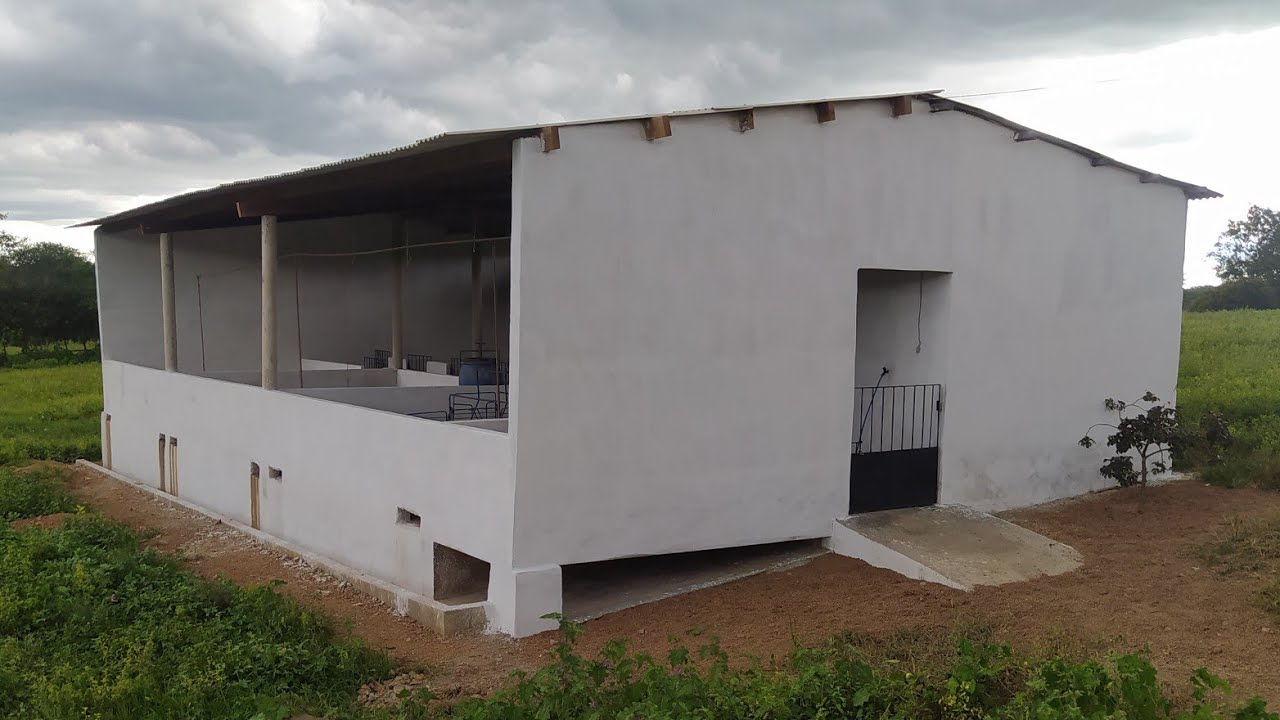 Como ficou nossa pocilga de suínos depois de finalizada.🐷🙌🔝