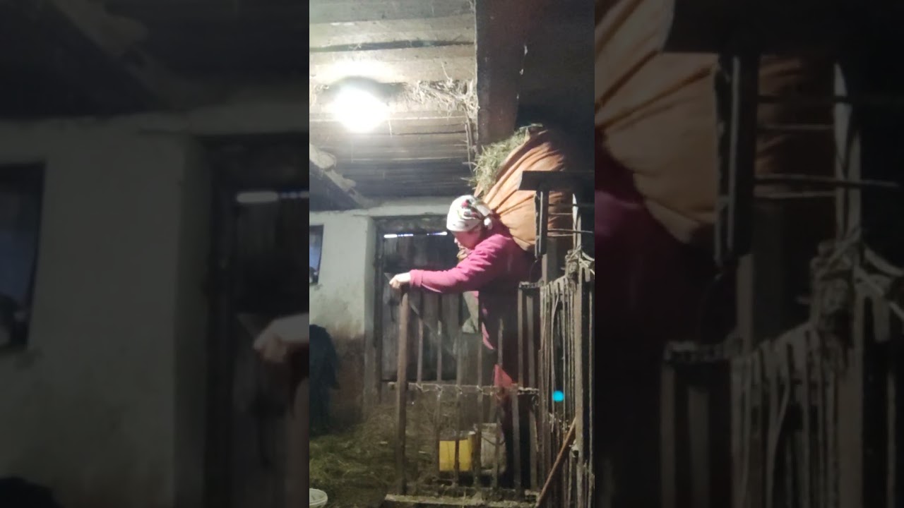 Чого Ігор не помагає порати кіз відповідаю на запитання 