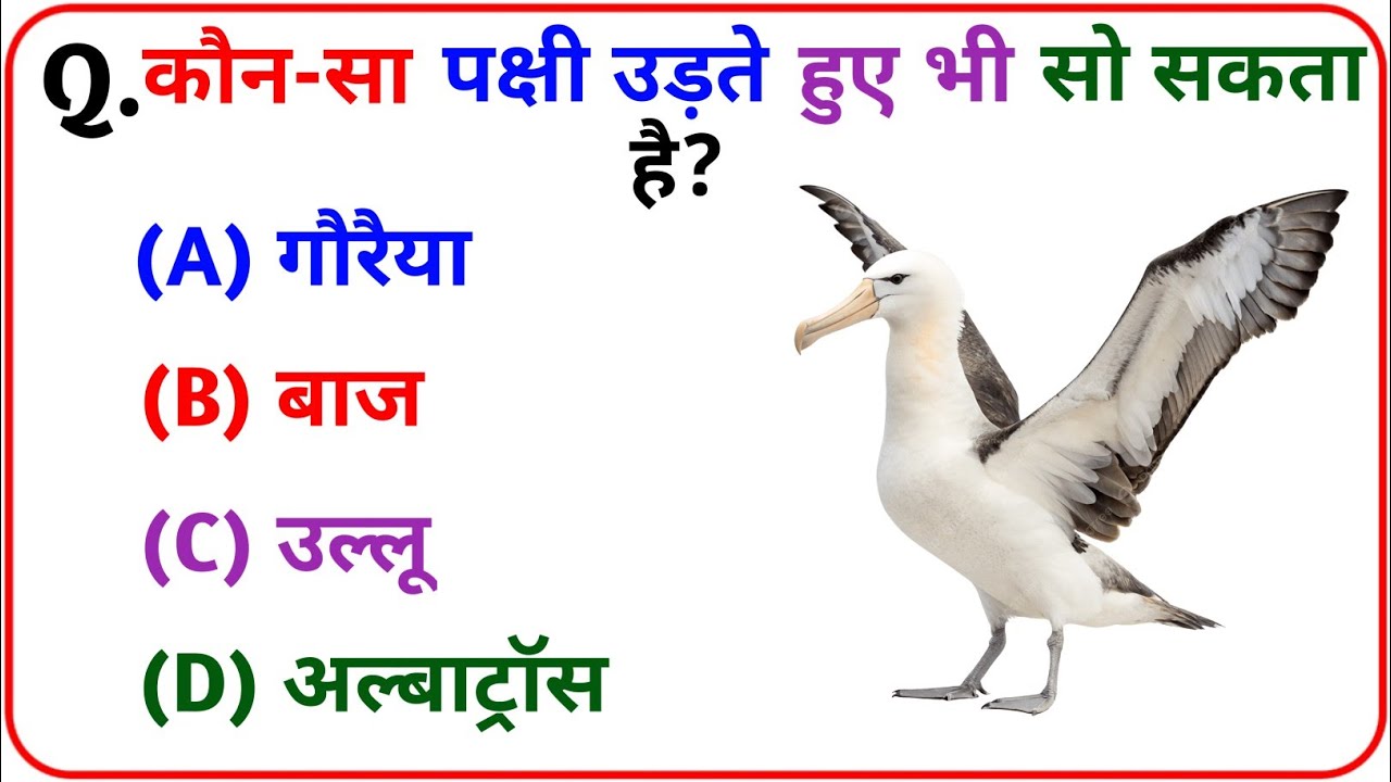 GK Question || GK In Hindi || GK Question and Answer || GK Quiz ||