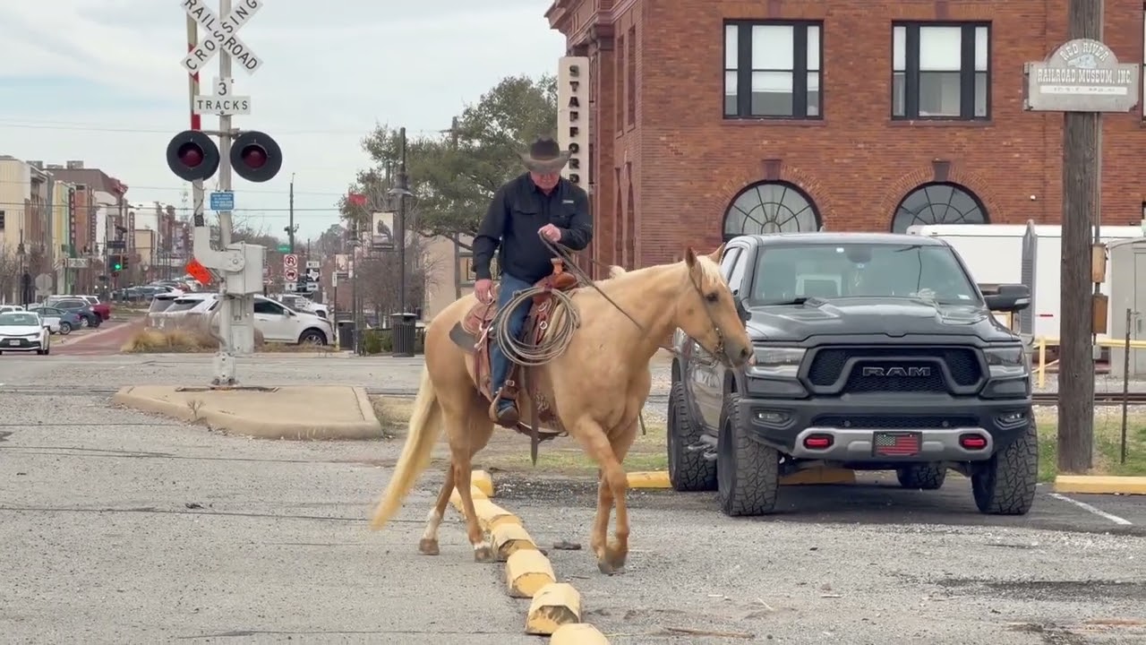 Payday - Town Riding