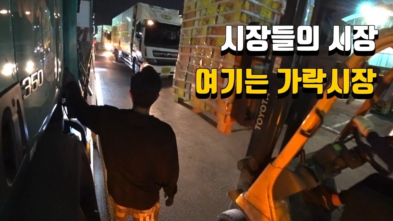 [다큐] 망고는 얼망고? 망고와 트럭커 그리고 가락시장의 밤