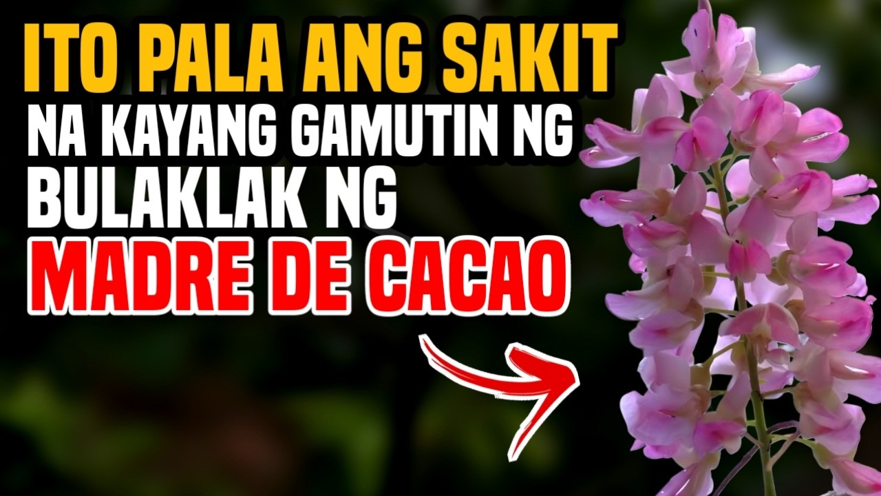 ITO PALA ANG MATINDING DAHILAN BAKIT HINDI MO DAPAT BALEWALAIN ANG BULAKLAK NG KAKAWATE