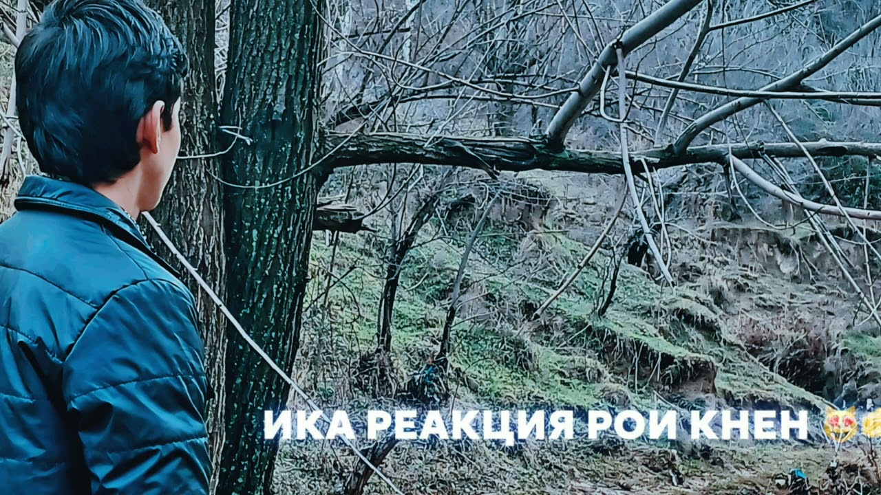 Тобе кардам ки хичкас мархами калбам нашавад.