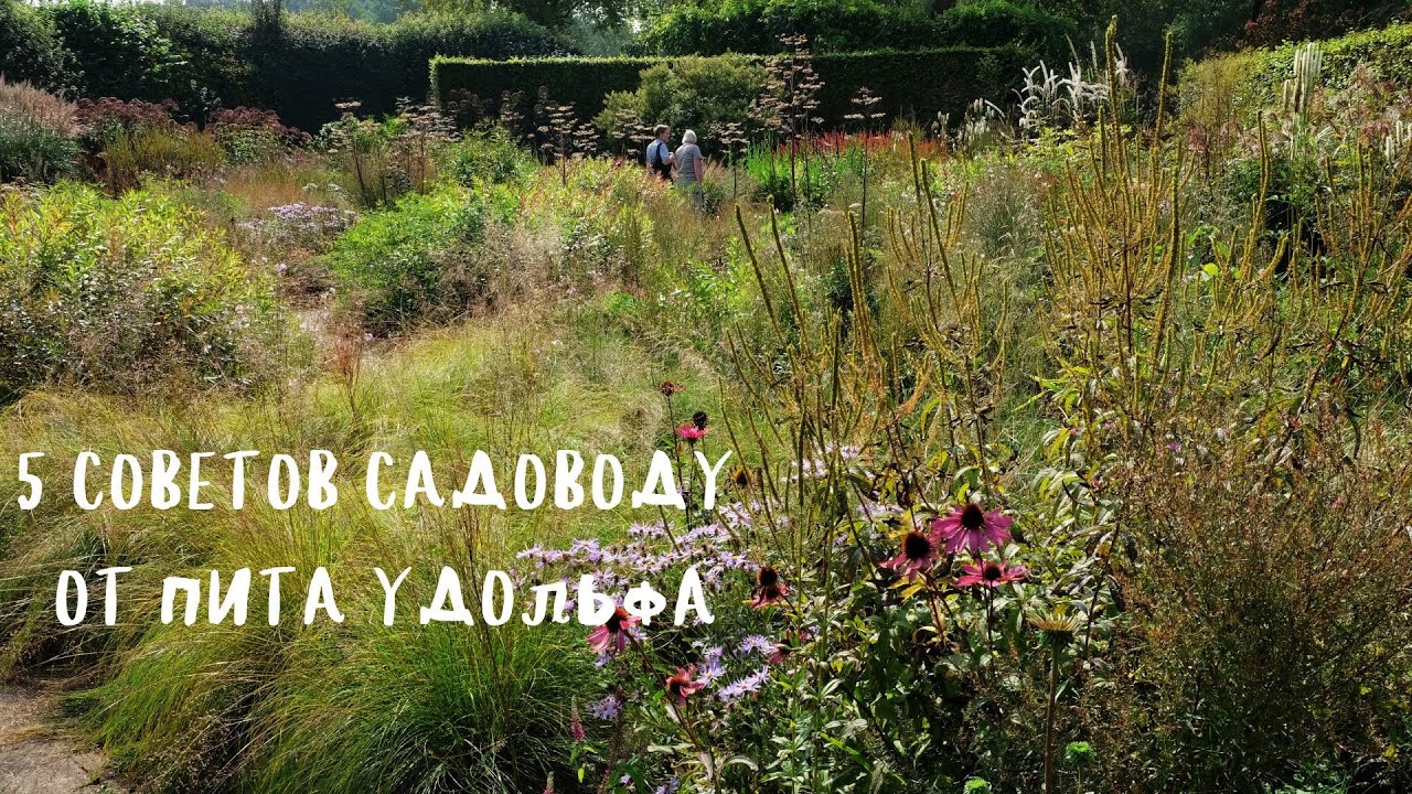 5 советов садоводу от Пита Удольфа из статьи The New York Times