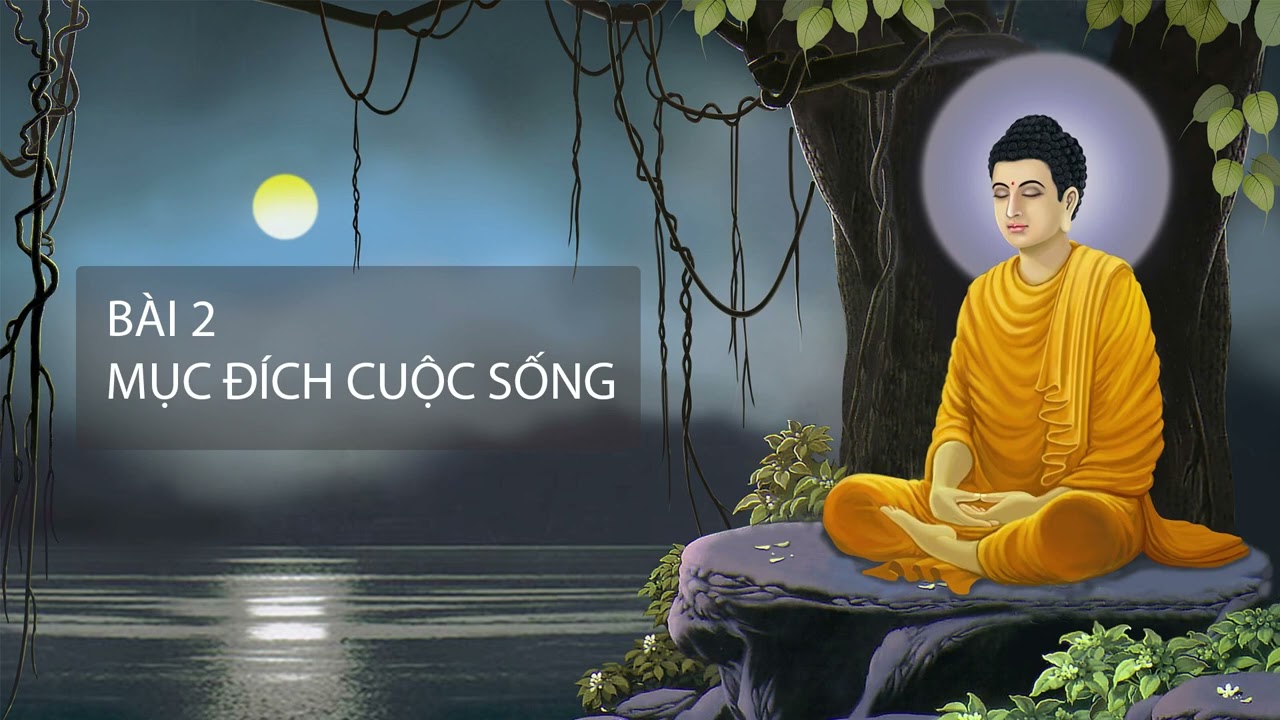 AUDIO- BÀI 2 MỤC ĐÍCH CUỘC SỐNG LÀ CHẤM DỨT KHỔ | THIỀN SƯ NGUYÊN TUỆ | GIỌNG ĐỌC CÔ XUÂN MAI