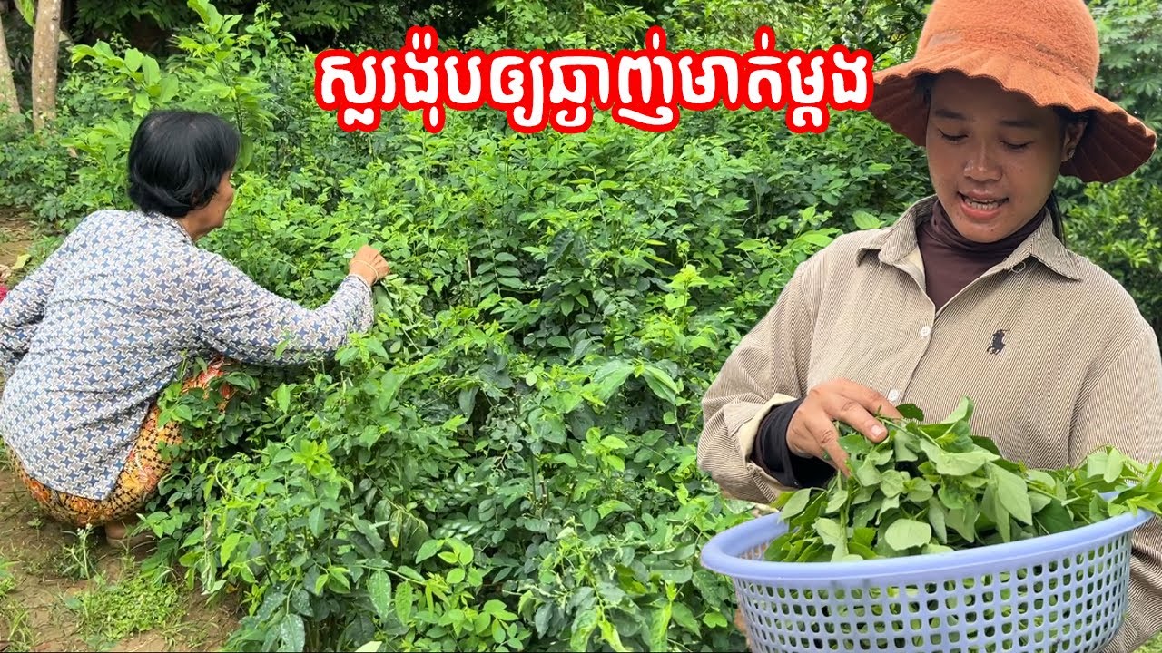 សម្លរង៉ុប់ឆ្ងាញ់ណាស់ រស់ជាតិរបស់វា ស្ទើរតែដូចព្រេច១០០% ទាំងក្លិននឹងរស់ជាតិ ឈ្ងុញហើយឆ្ងាញ់