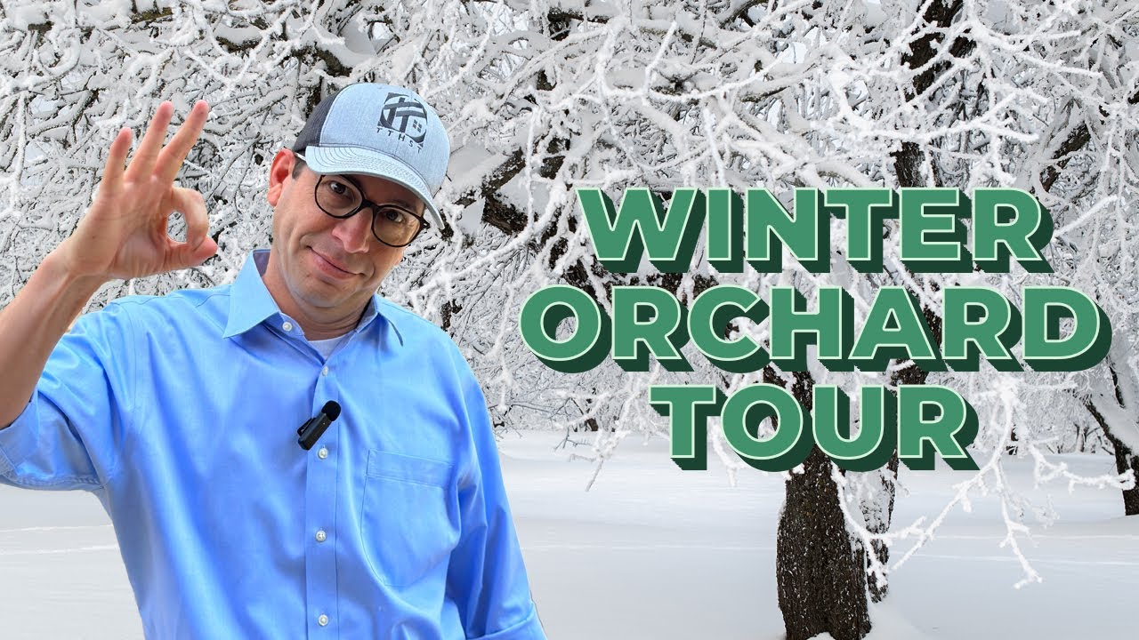 WINTER 2025: January Texas Orchard Tour!