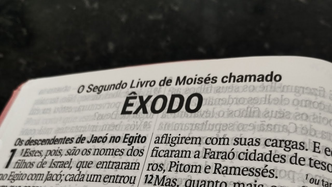 Leitura Anual da Bíblia: Êxodo 22-24