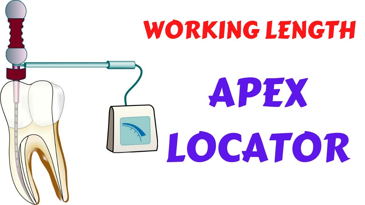 Endodontic Lecture- Root Canal Procedure- Apex Locator- How to use apex locator Part3