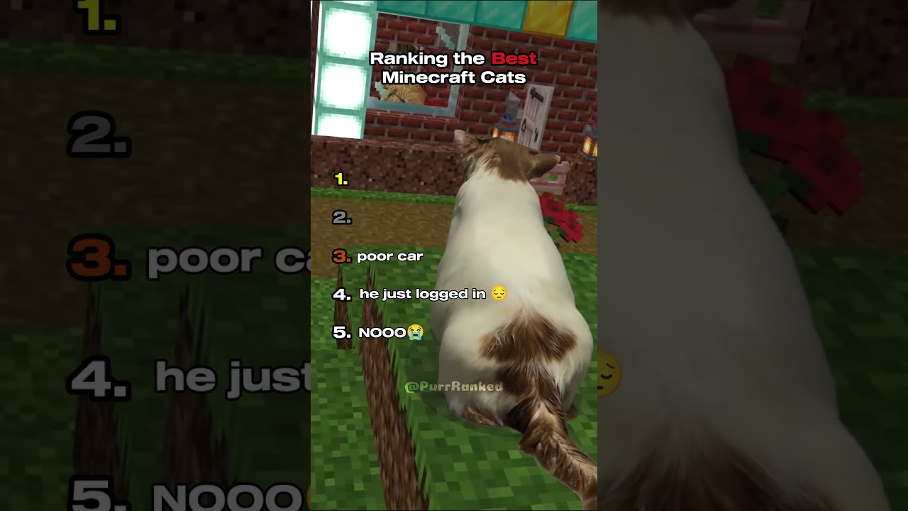 Ranking the Best Minecraft Cats 🤣Part 2