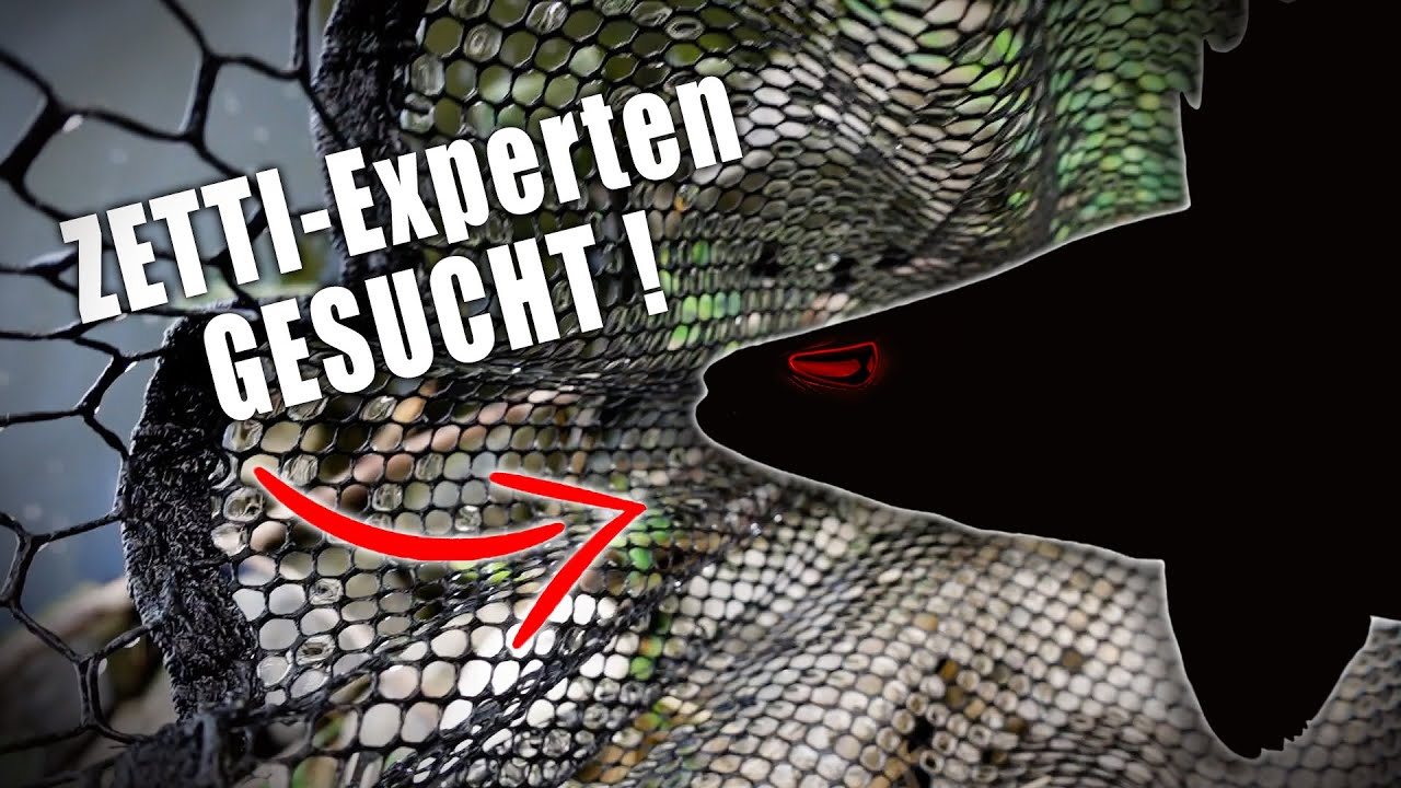 Wolga-Zander: Angeln für die Wissenschaft