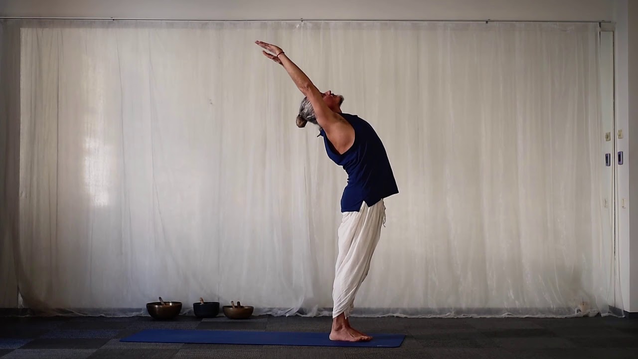 YOGA SURYA NAMASKAR JOGA SAULES SVEICIENS DINAMISKS ANDIS MEDNIS