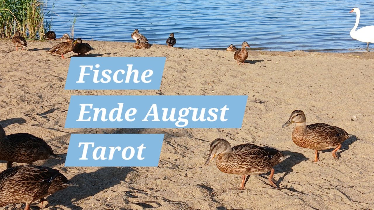 Fische♓️ ✨️Durch loslassen, wirst du vom Unglück bewahrt🍀❤️‍🔥