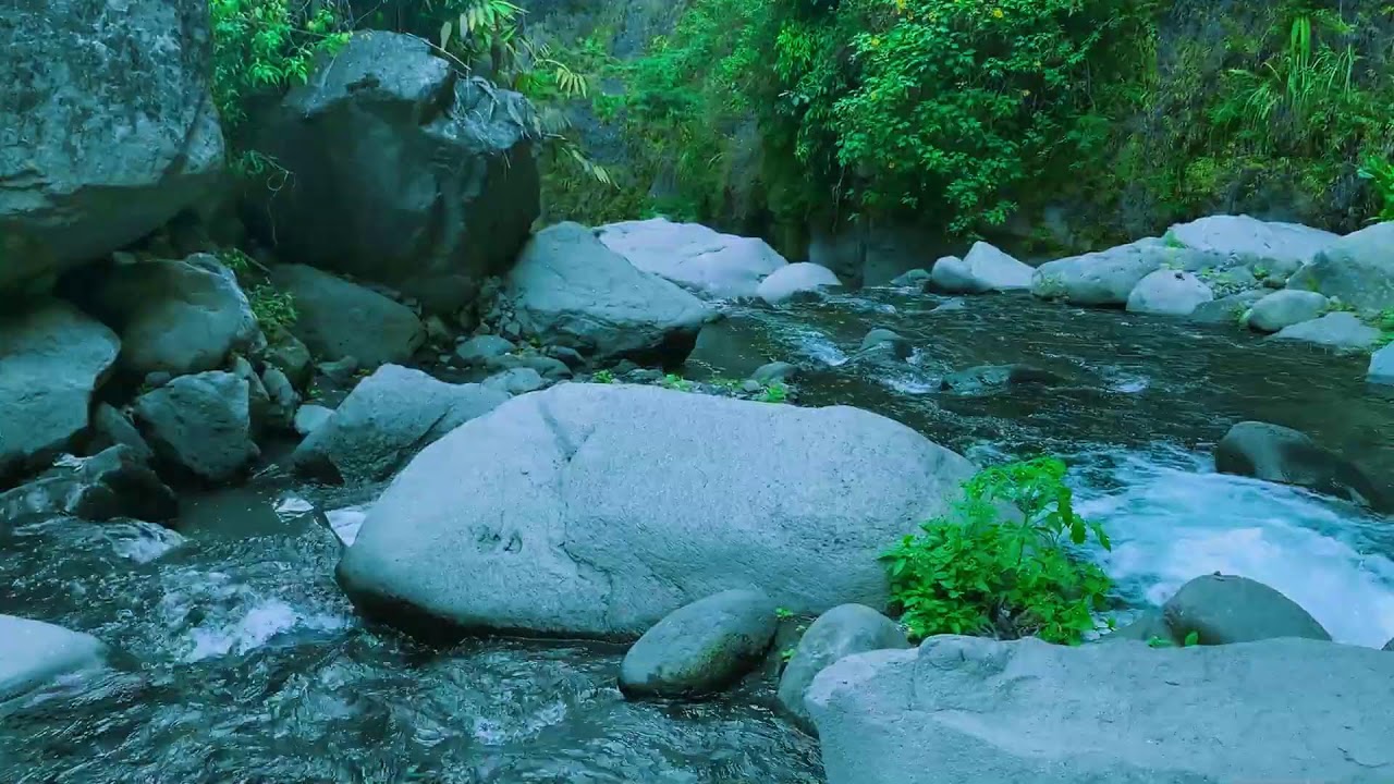 Dreamy Nature White Noise Atmosphere | For Reading & Instant Sleep