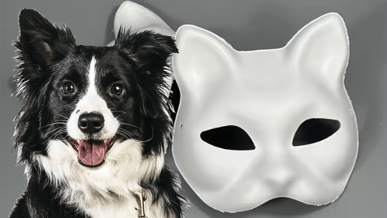 Border collie mask from Therian mask DIY part1 