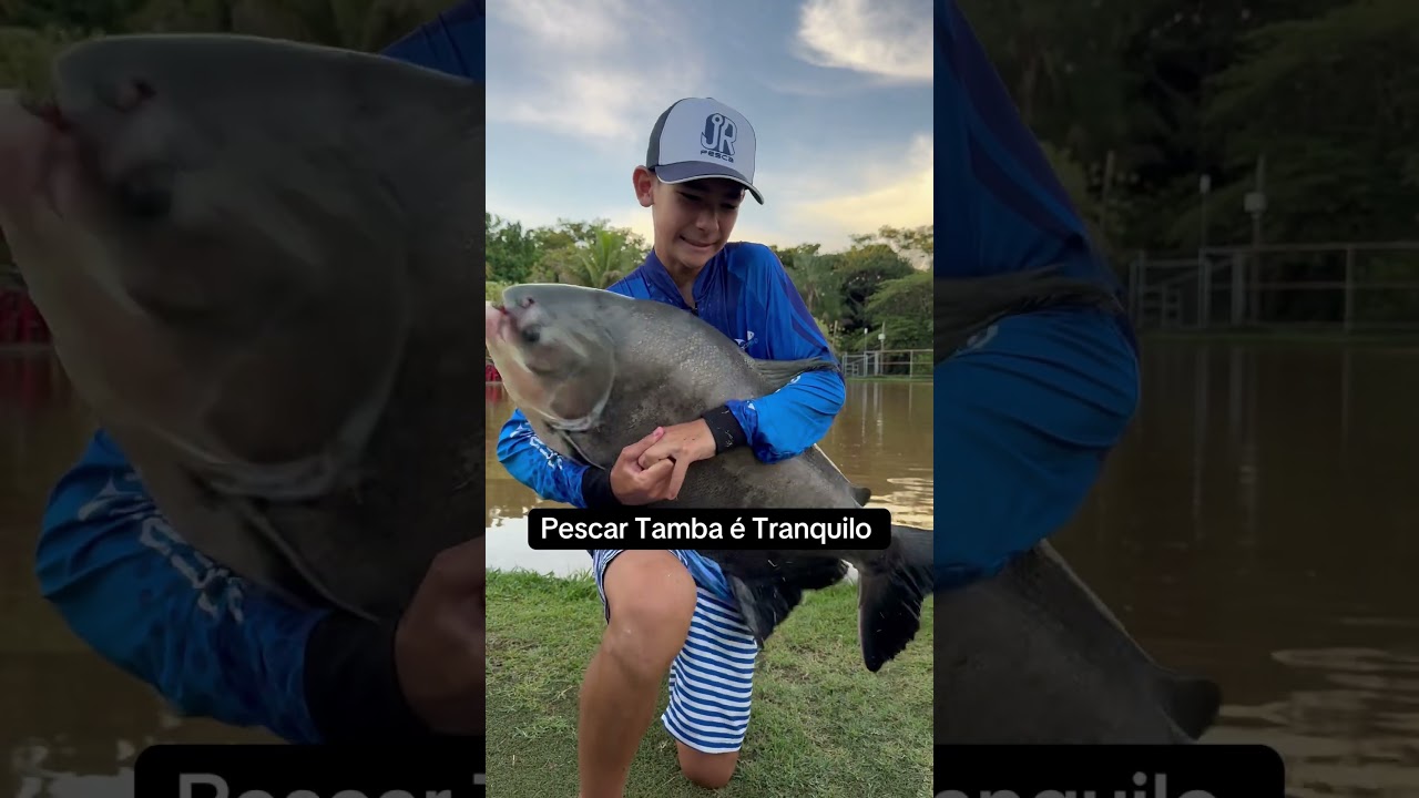 Peixe Bruto #tambacu #tamba #tambaqui #pesqueiros