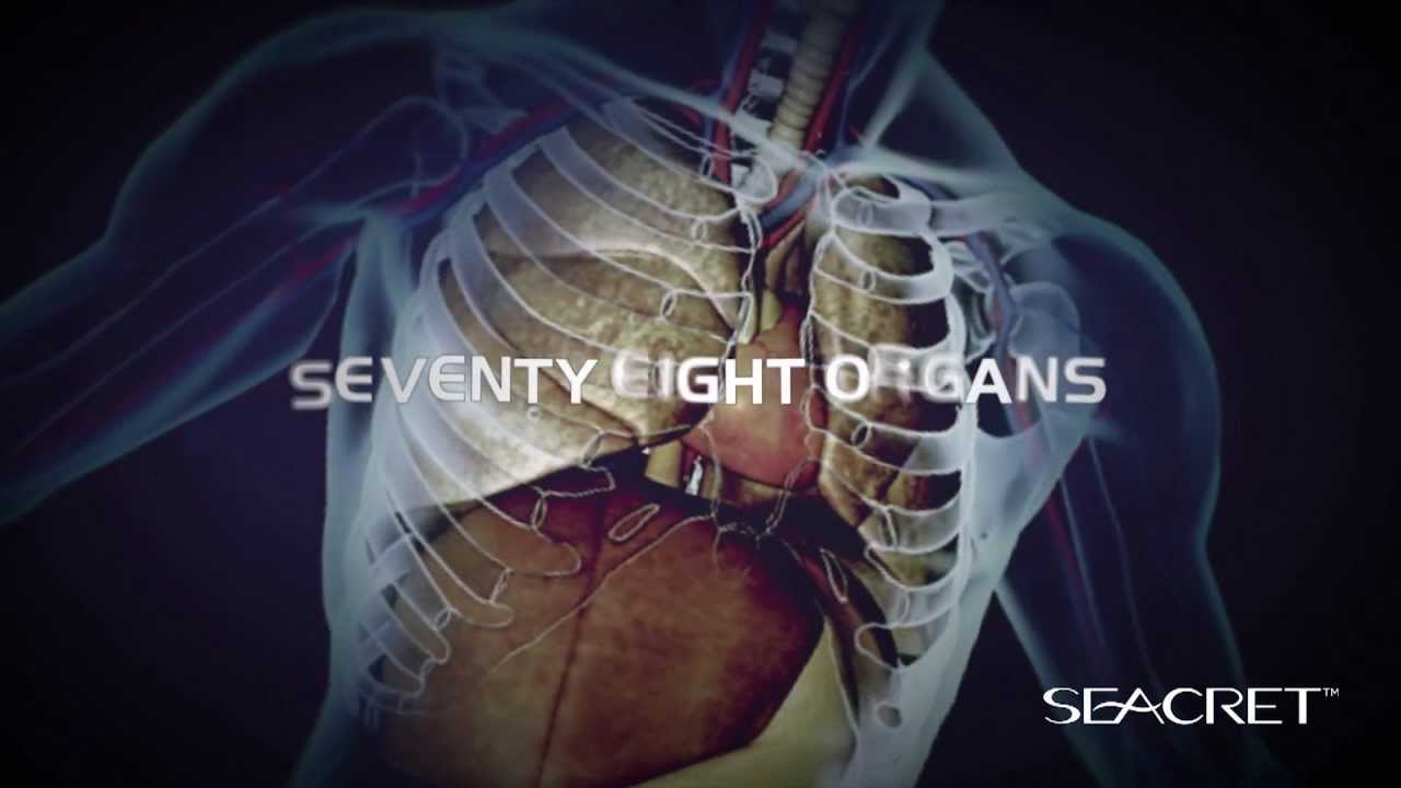 The Seacret Product Line