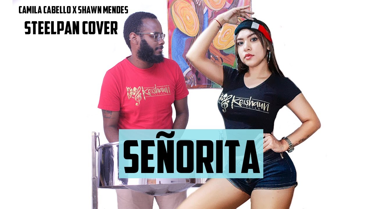 Camila Cabello - Señorita (Steelpan Cover)