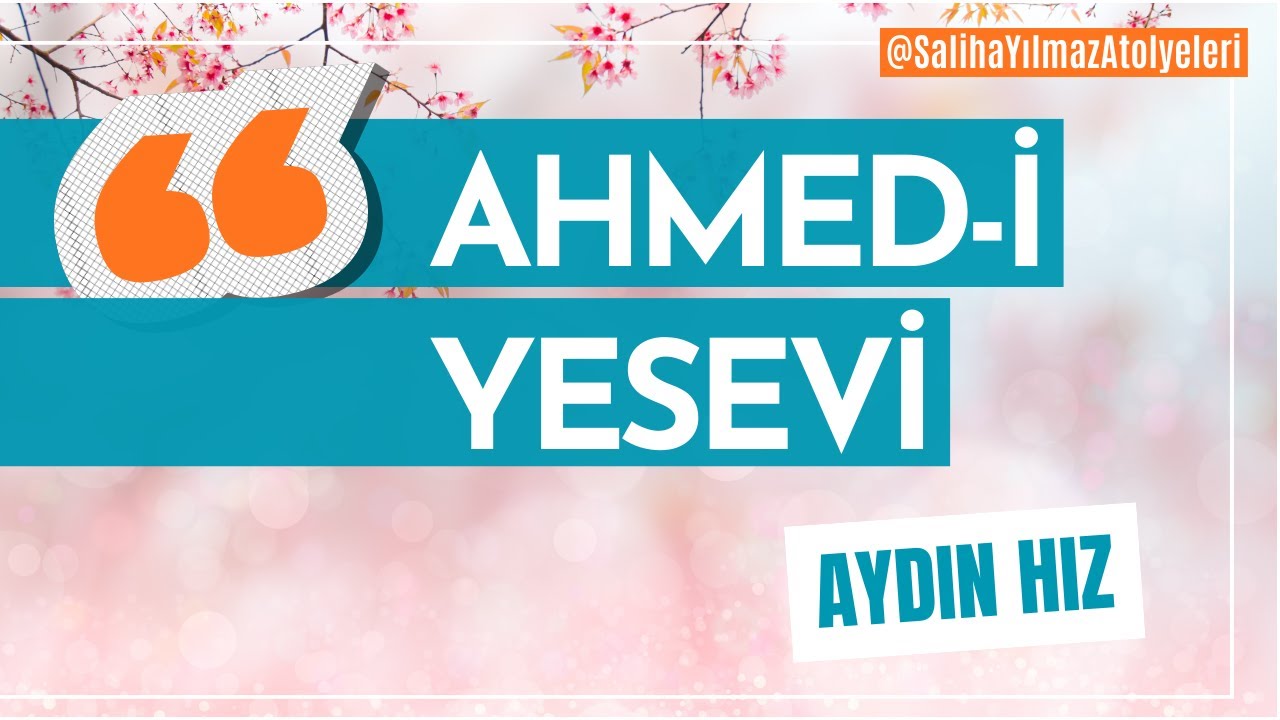 Aydın Hız 