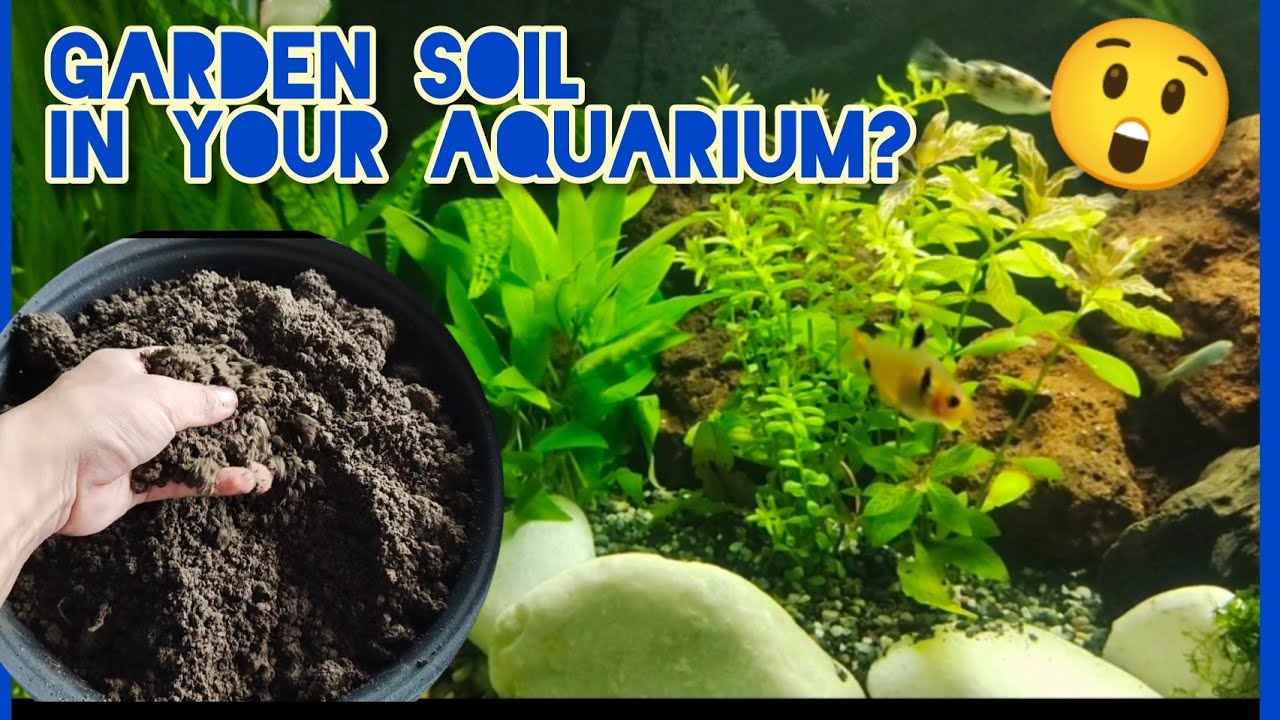 USING GARDEN SOIL FOR AQUASCAPING