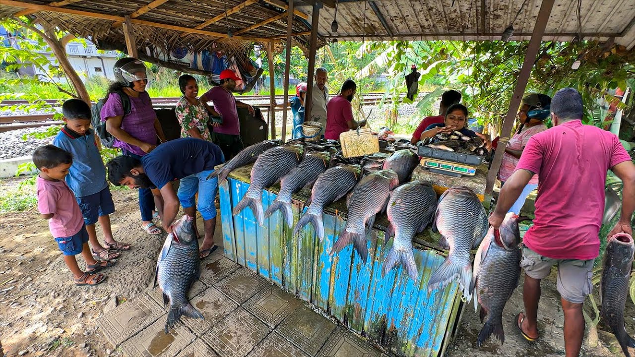 Top 01 In Asia!! 100KG HUGE Catla Fish Cutting Market In Village | Street Villagers Are Surprised