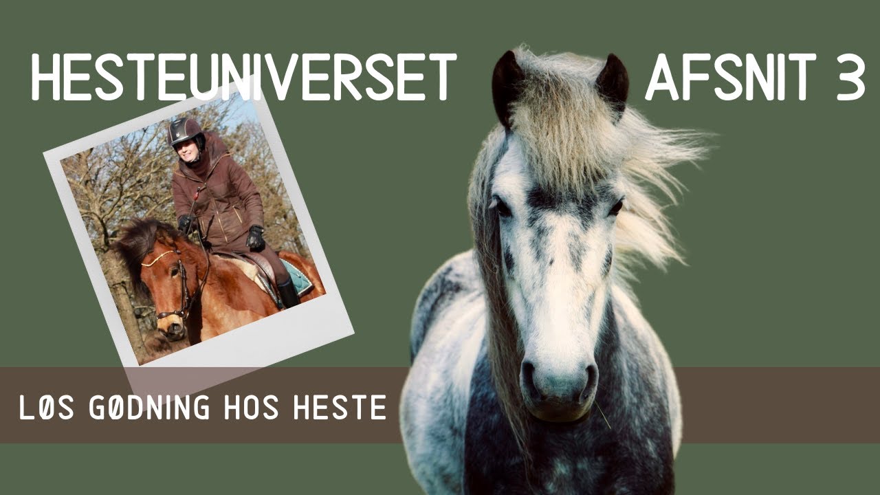 HesteUniverset Afsnit 3 - Løs gødning/dårlig mave/diarré hos heste