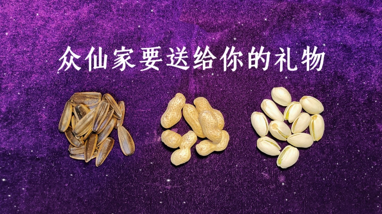 【Hiker塔罗】眾仙家為你準備的禮物，請接收！