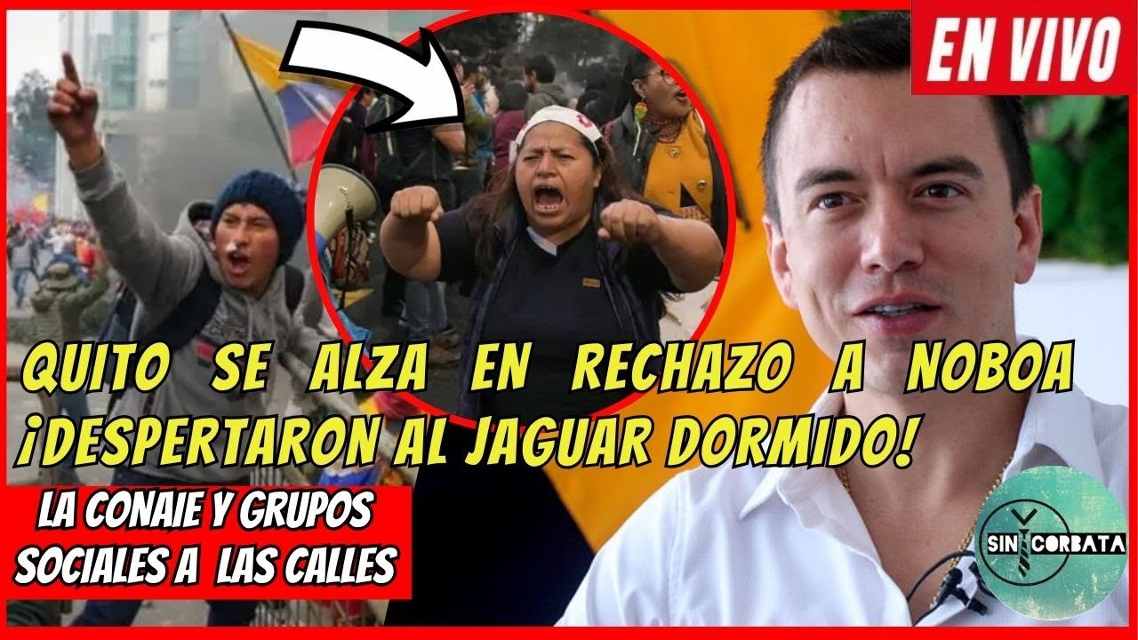 Quito se alza en RECHAZO a Noboa &iexcl;Despertaron al jaguar dormido!