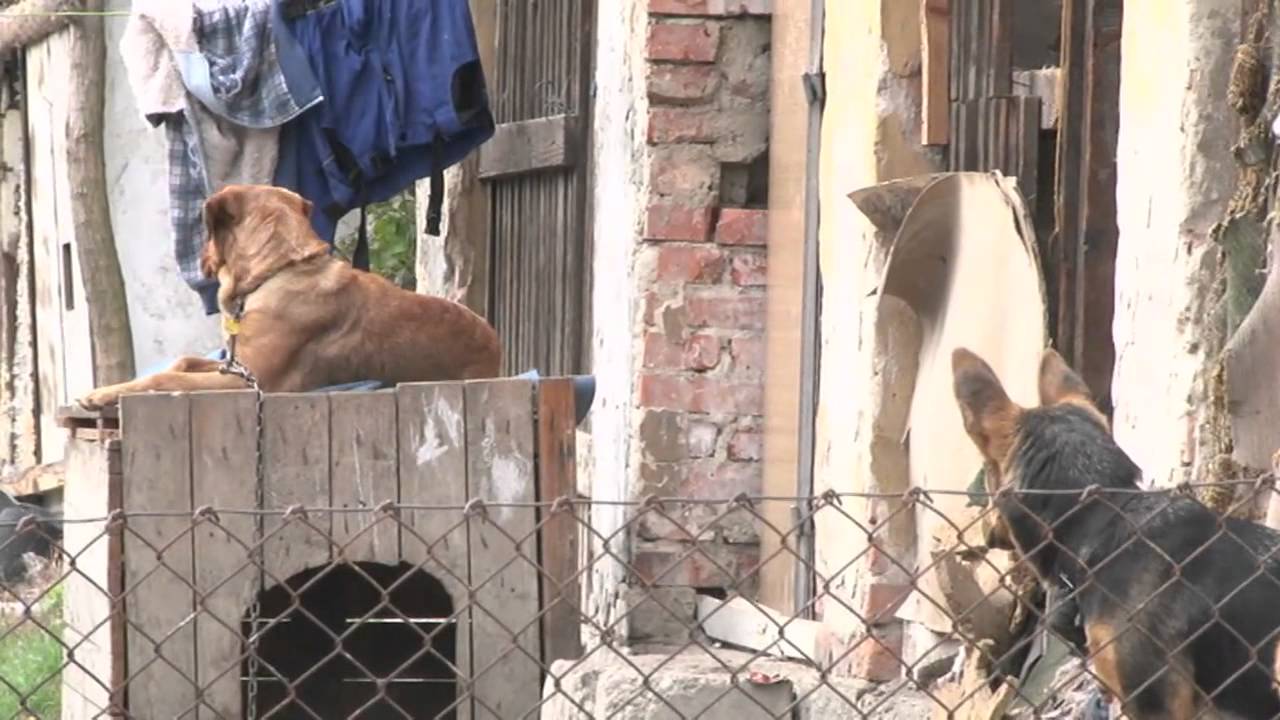 V Baníckej kolónii kontrolovali nájomníkov
