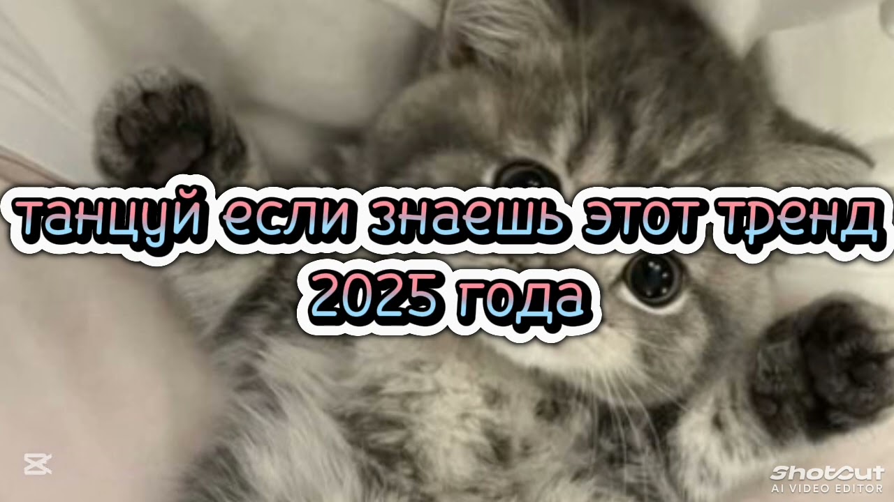 Танцуй если знаешь этот тренд 2025 года 🎀 #amystory2011 #выбирашки #потрендам #тренды #2025 #года  