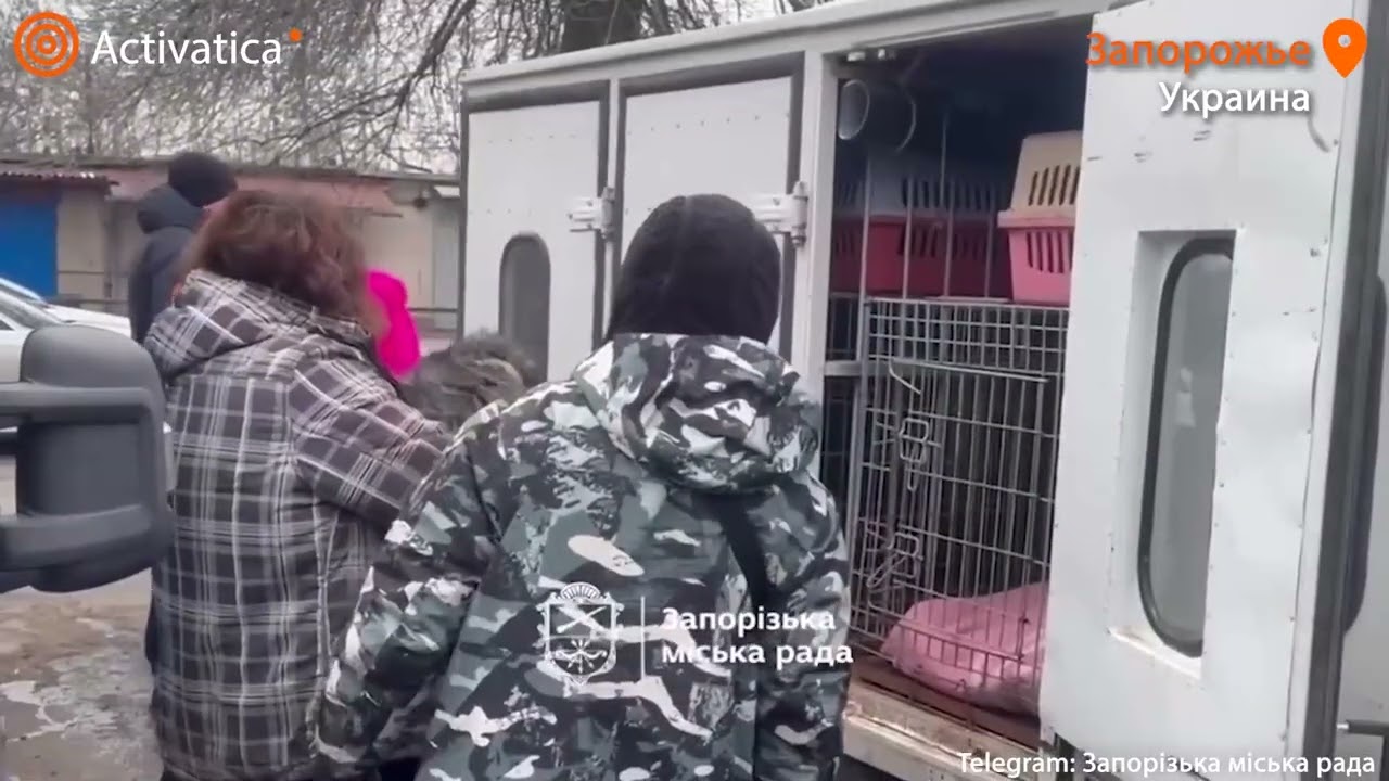 🟠Из-за российского обстрела пострадал приют для животных в Запорожье