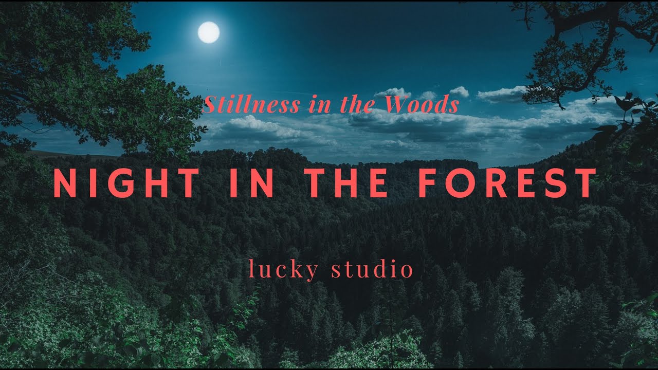 🌲 Night in the Forest | Original Soundtrack BGM