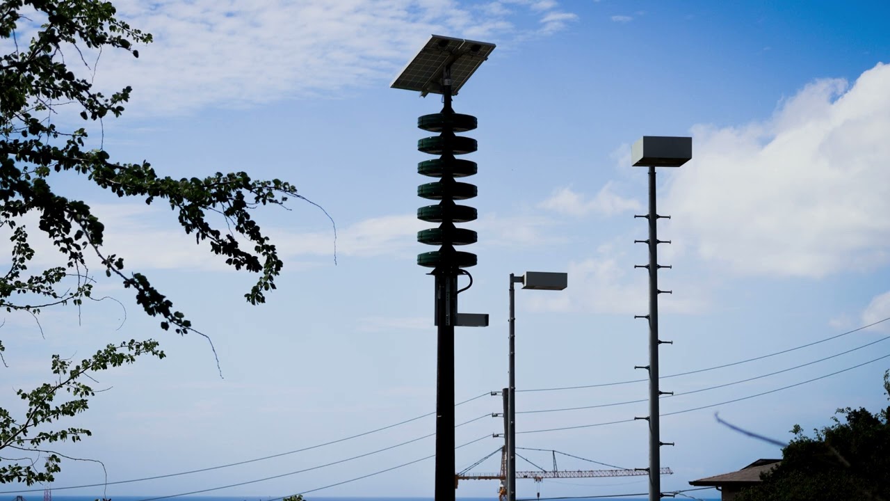 Federal Signal Modulator II 6024B • Liliha, Hawaiʻi