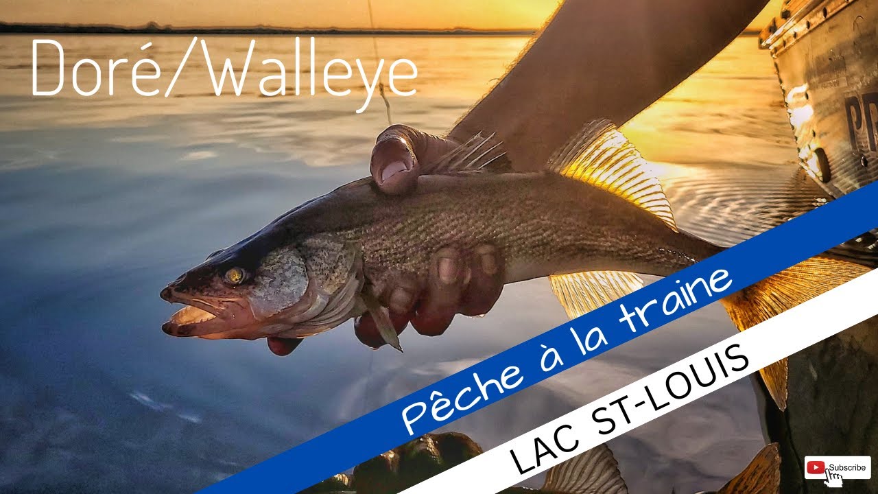 Walleye Fishing - Trolling for big Walleye