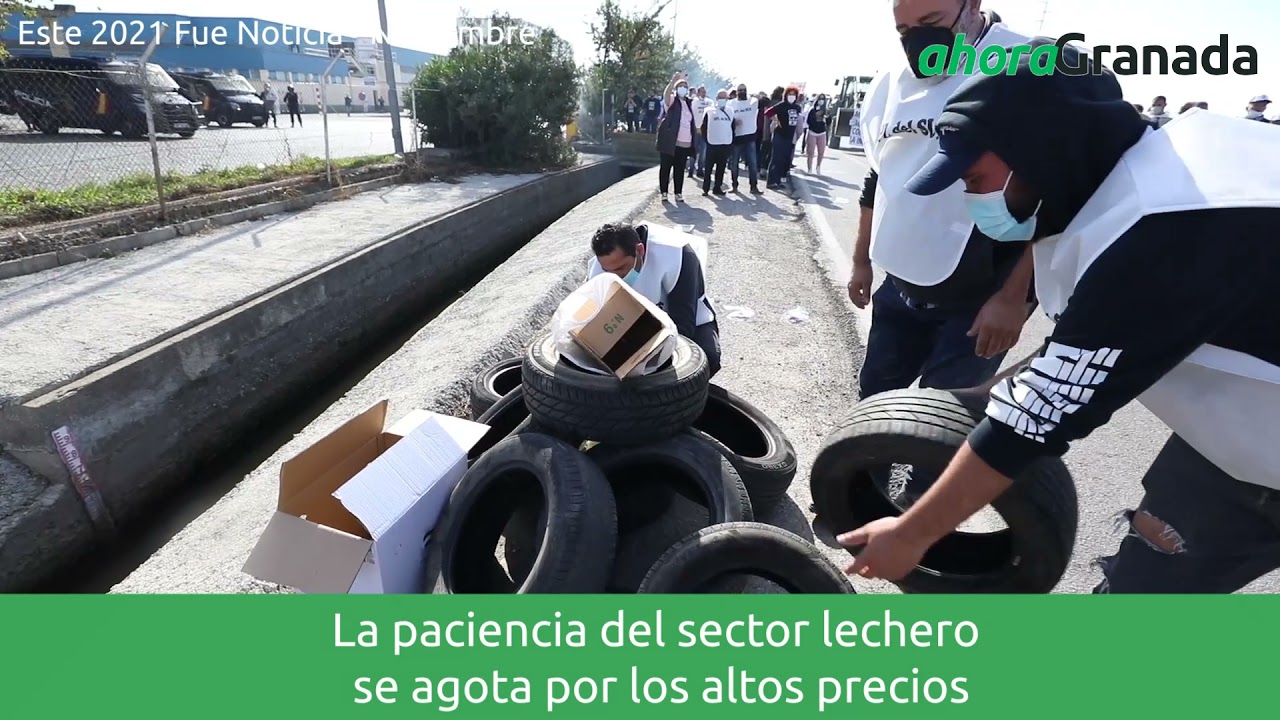 Anuario 2021 | Las noticias de Granada en noviembre