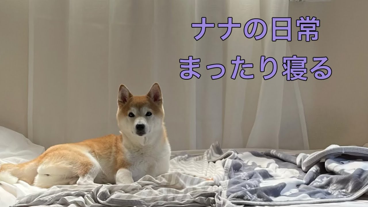[まったり寝る] いつものルーティンと寝るときの癖