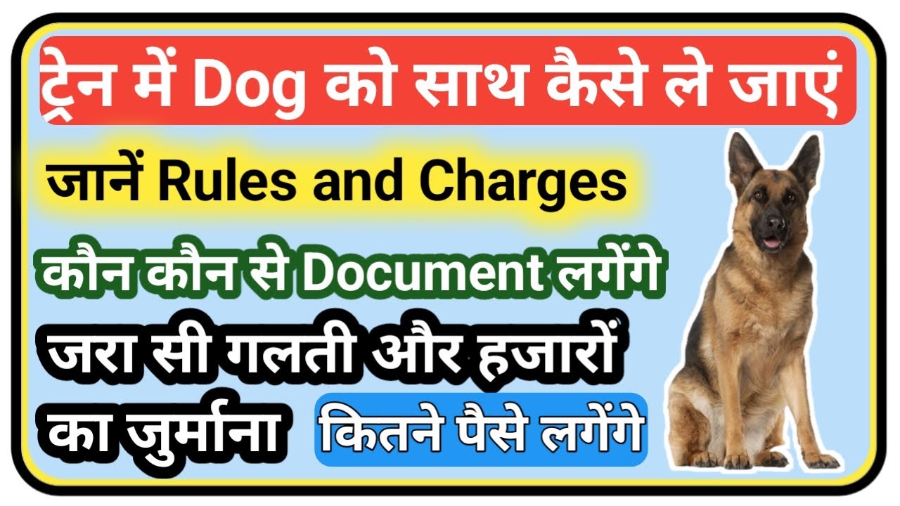 How to Carry Your Dog in Train | Train me Kutta apne sath Kaise le Jaye | Travel with Dog in Train