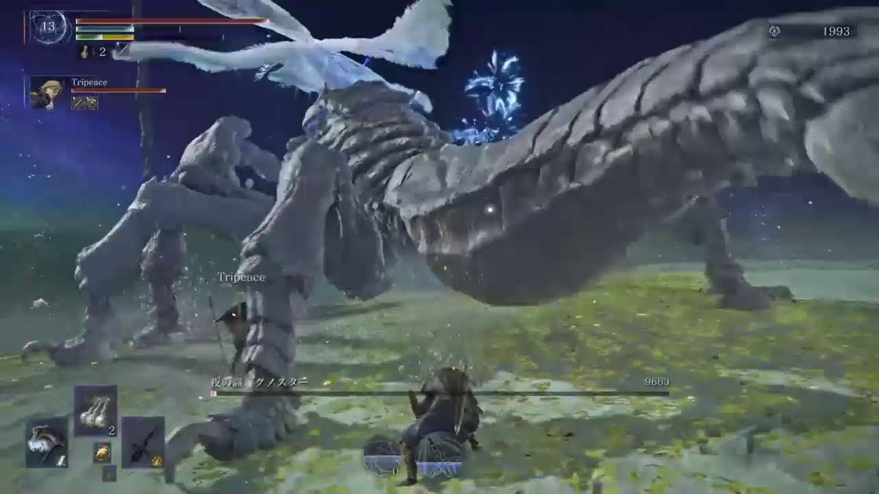 エルデンリング　ナイトレイン　 深き夜2層［PS4野良］