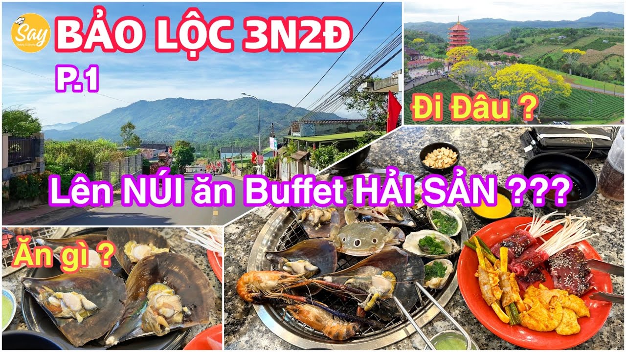 Bảo Lộc Đi Đâu Ăn Gì | Hành trình Ngày 1 Ghé Thăm Tu Viện Bát Nhã, Chùa A Di Đà & Buffet Hải Sản TN