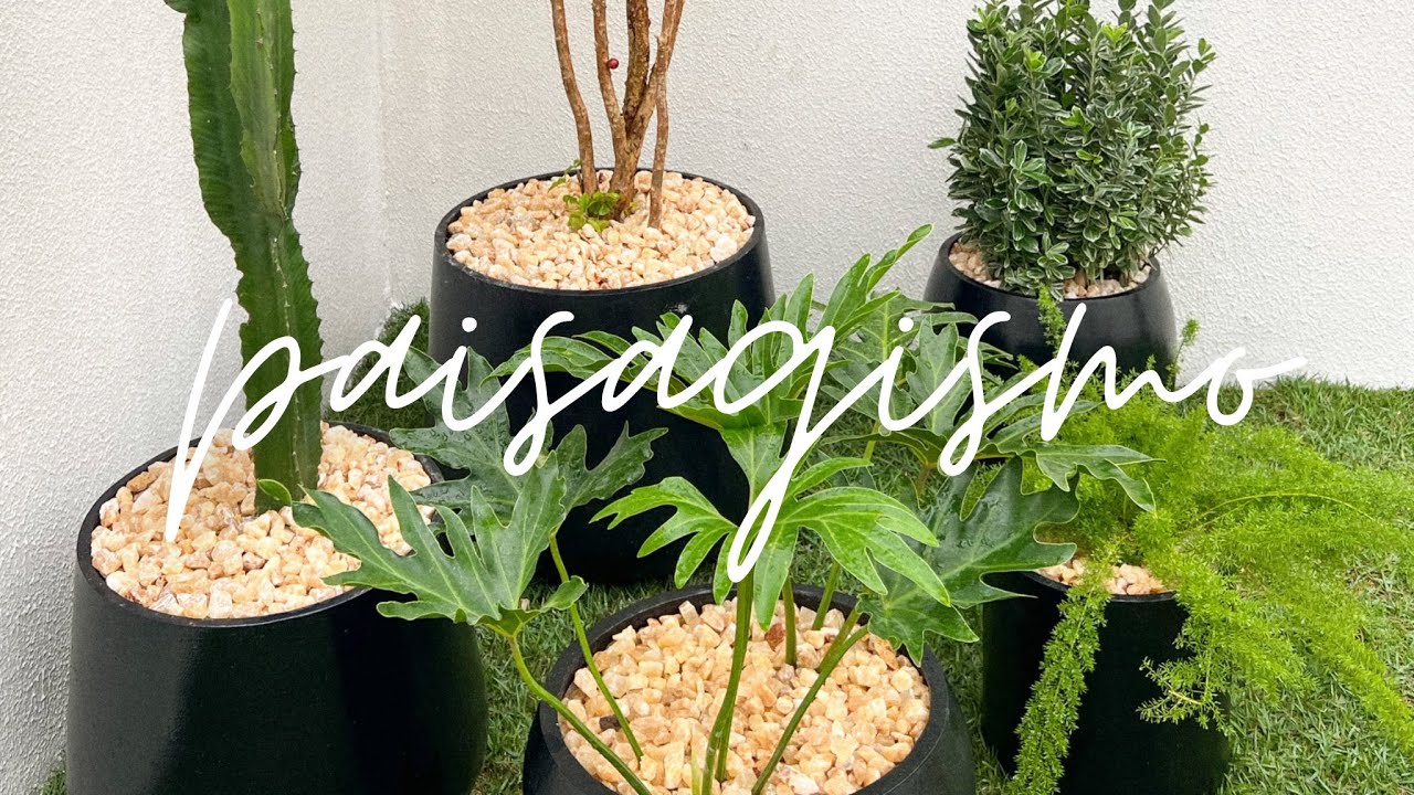 PAISAGISMO - começamos a fazer nosso jardim nos vasos