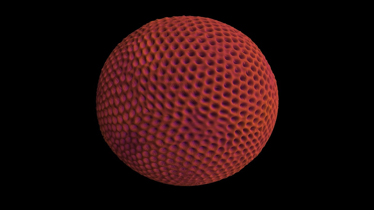 Honeycomb patterns in the Gray-Scott model on the sphere