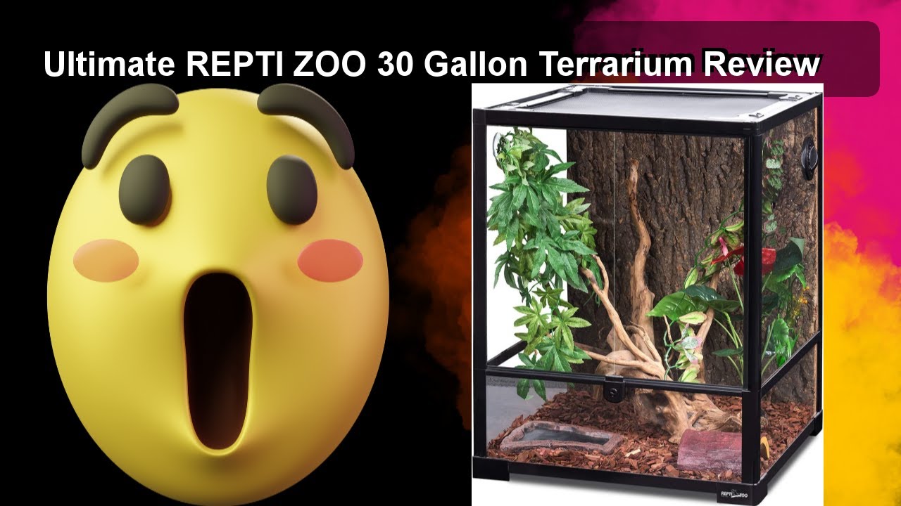 Ultimate REPTI ZOO 30 Gallon Terrarium Review