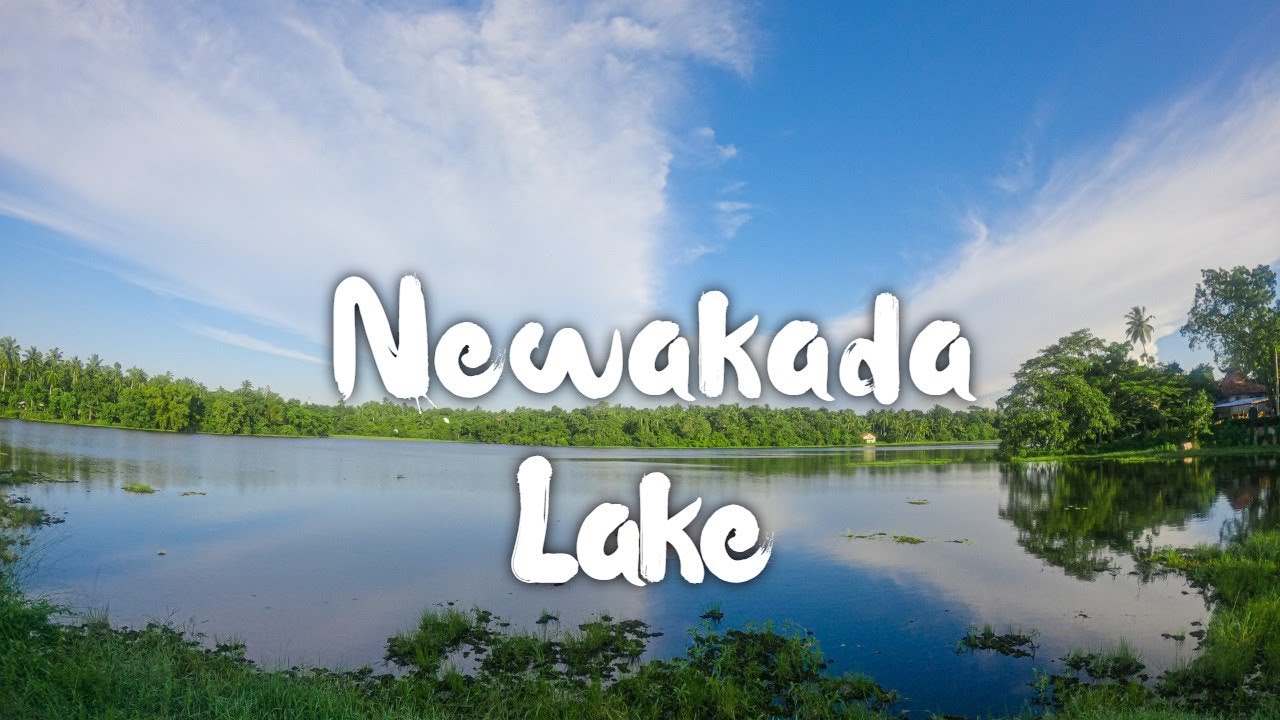Travelling To Newakada Lake | Udubaddawa | Sri Lanka |