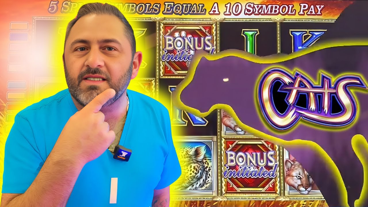 🎰 OMG! JACKPOTS on CATS! 🐱 I LOVE THIS HIGH LIMIT SLOT GAME 🤑🔥