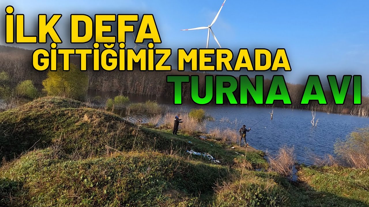 BU MERAYA BAYILACAKSINIZ / TURNA AVI