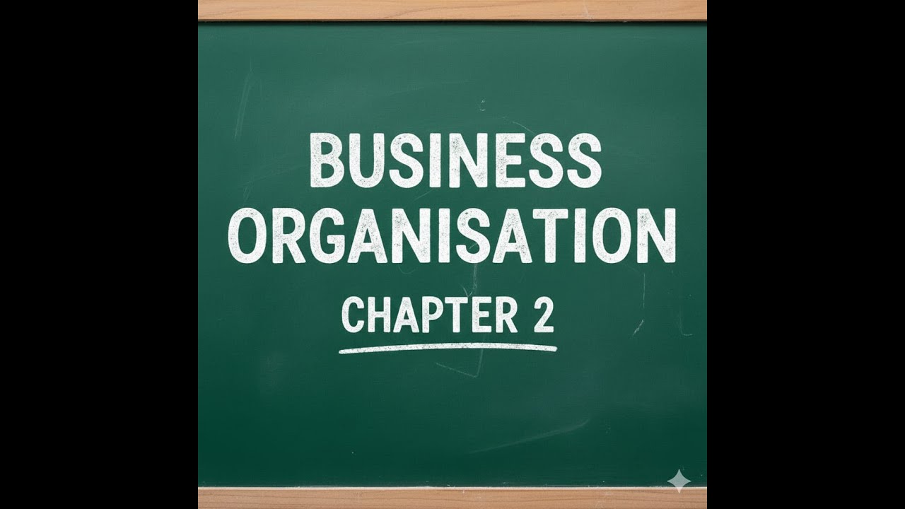 Business organisation chapter 2  ONE SHOT